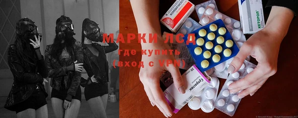 индика Баксан