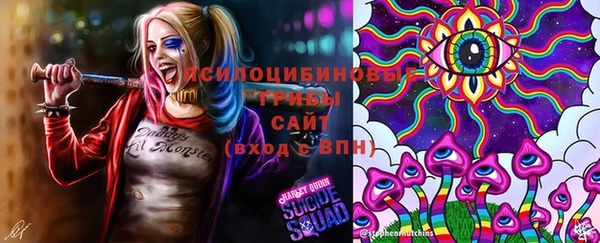 индика Баксан