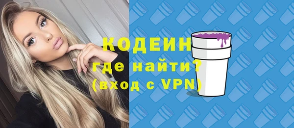 индика Баксан